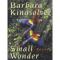 Small Wonder (Walker Large Print Books) - Barbara Kingsolver