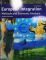 European integration.  methods and economic analysis. 3. ed. - Jacques Pelkmans