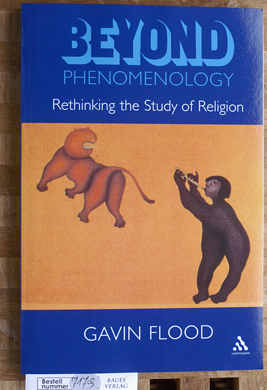 Beyond Phenomenology: Rethinking the Study of Religion (Cassell Religious Studies)  Reprint 2006/1999 - Flood, Gavin.