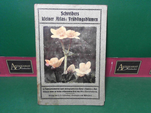 Christiansen, Albert:  Schreibers kleiner Atlas: Frühlingsblumen. 