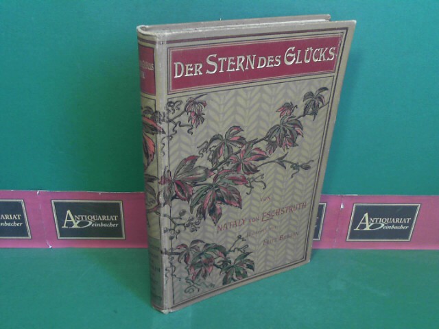 Eschstruth, Nataly von:  Der Stern des Glcks - 2.Teil - Roman. (= Illustrierte Romane und Novellen, 8.Band), 