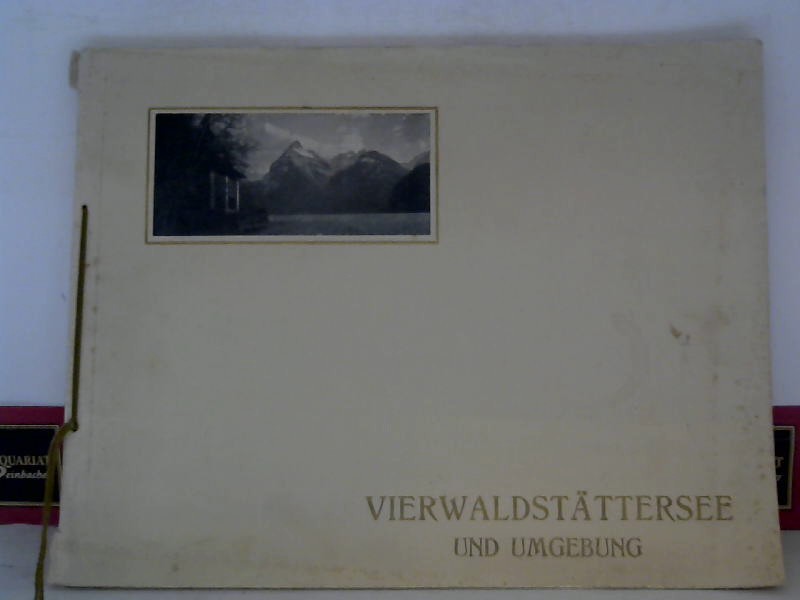 Wehrli AG (Hrsg.):  Vierwaldstttersee und Umgebung. (gr.Ausgabe). Souvenir-Albums Edition Illustrato. 