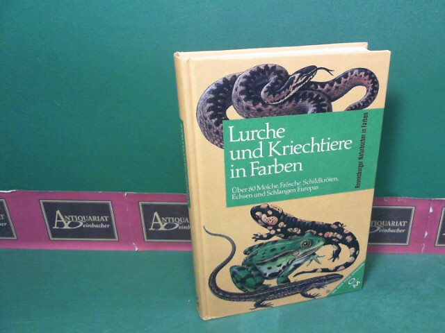 Schrder, Heinz:  Lurche und Kriechtiere in Farben - ber 80 Molche, Frsche, Schildkrten, Echsen und Schlangen Europas. (= Ravensburger Naturbcher). 
