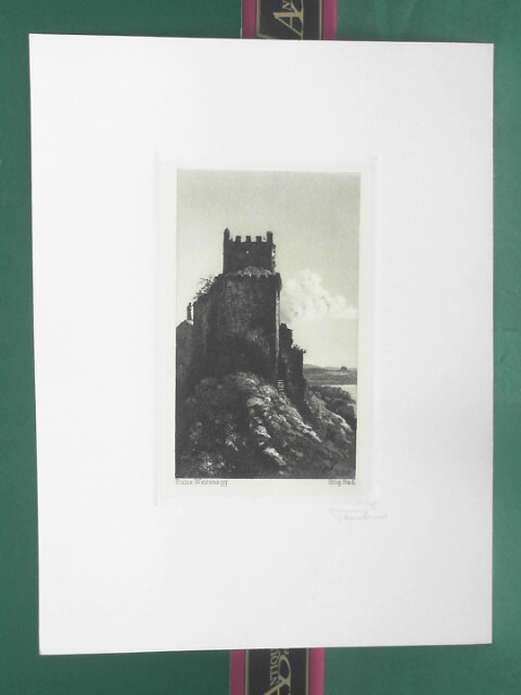 Teubel, Friedrich:  Burg Weitenegg (Ansicht) - original Radierung. 