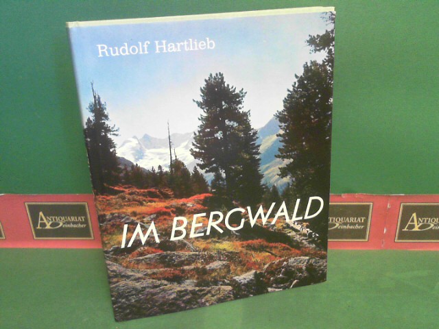 Hartlieb, Rudolf:  Im Bergwald. 
