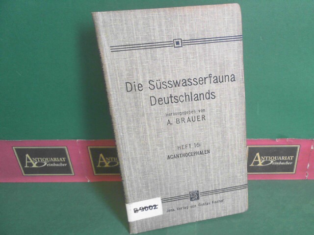 Brauer, A. und Max Lhe:  Acanthocephalen. (Plattwrmer). (= Die Ssswasserfauna Deutschland - Eine Exkursionsfauna, Heft 16). 