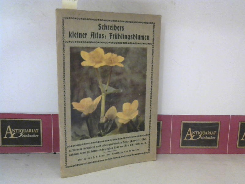 Schreibers kleiner Atlas: Frühlingsblumen.