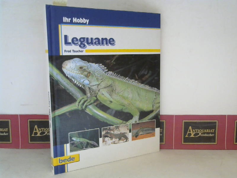 Leguane. (= Ihr Hobby).