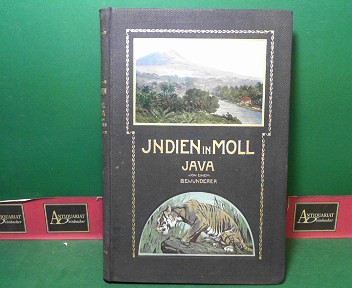 Indien in Moll - Java - Reiseerinnerungen und Betrachtungen von einem Bewunderer.