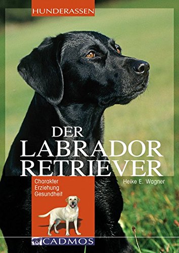 Labrador Retriever: Charakter Erziehung Gesundheit (Cadmos Hunderassen) - Wagner, Heike E