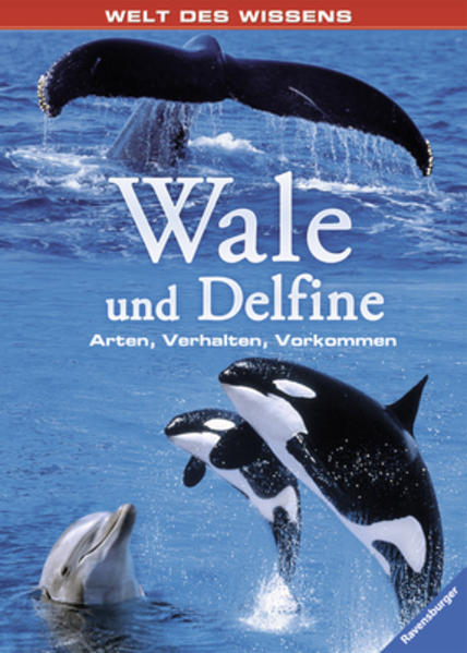 Wale und Delfine: Arten, Verhalten, Vorkommen (Welt des Wissens)  1
