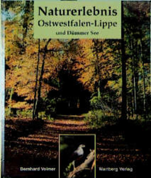 Naturerlebnis Ostwestfalen-Lippe und Dümmer See - Volmer, Bernhard