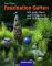 Faszination Garten. 300 neue Ideen zum Dekorieren und Selbermachen  Auflage: Lizenzausgabe - Joan Clifton