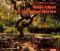 Neue Ideen für schattige Gärten: rund ums Haus [Gebundene Ausgabe]Heidi Howcroft (Autor), Gudrun Lehneis (Autor)  2000 - Heidi Howcroft, Gudrun Lehneis