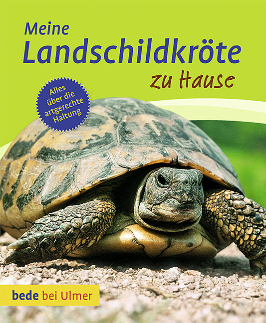 Meine Landschildkröte zu Hause von Gerti Keller und Eva-Grit Schneider  Auflage: 2 - Gerti Keller und Eva-Grit Schneider