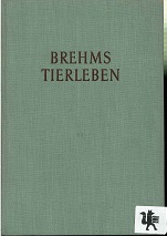 Brehms Tierleben in 4 Bänden. Hier: zweiter Band: Fische, Lurche, Kriechtiere Mit 285 Textabbildungen und 24 Farbtafeln 2.Auflage