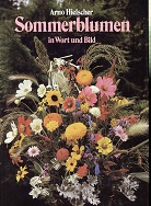 Hielscher, Arno:  Sommerblumen in Wort und Bild, 