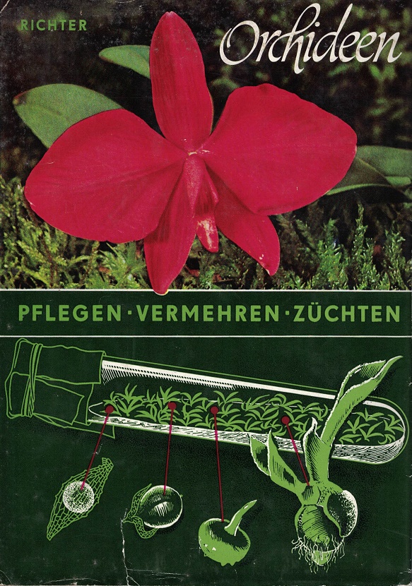 Richter, Walter:  Orchideen. 
