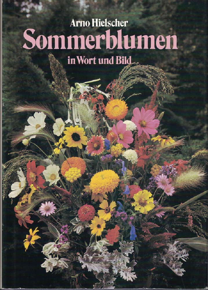 Hielscher, Arno:  Sommerblumen in Wort und Bild. 