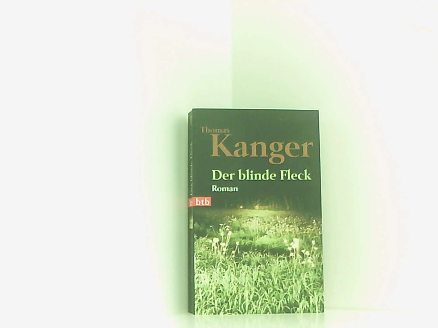 Der blinde Fleck: Roman  Genehmigte Taschenbuchausg., 1. Aufl. - Kanger, Thomas und Kerstin Schöps