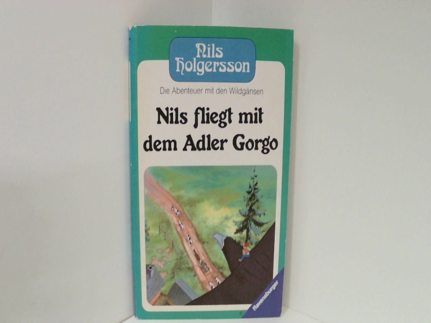 Nils fliegt mit dem Adler Gorgo
