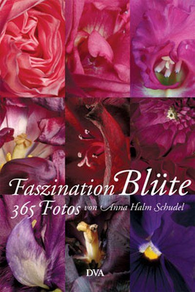 Faszination Blüte: 365 Fotografien - Der immerwährende Kalender - Halm Schudel, Anna