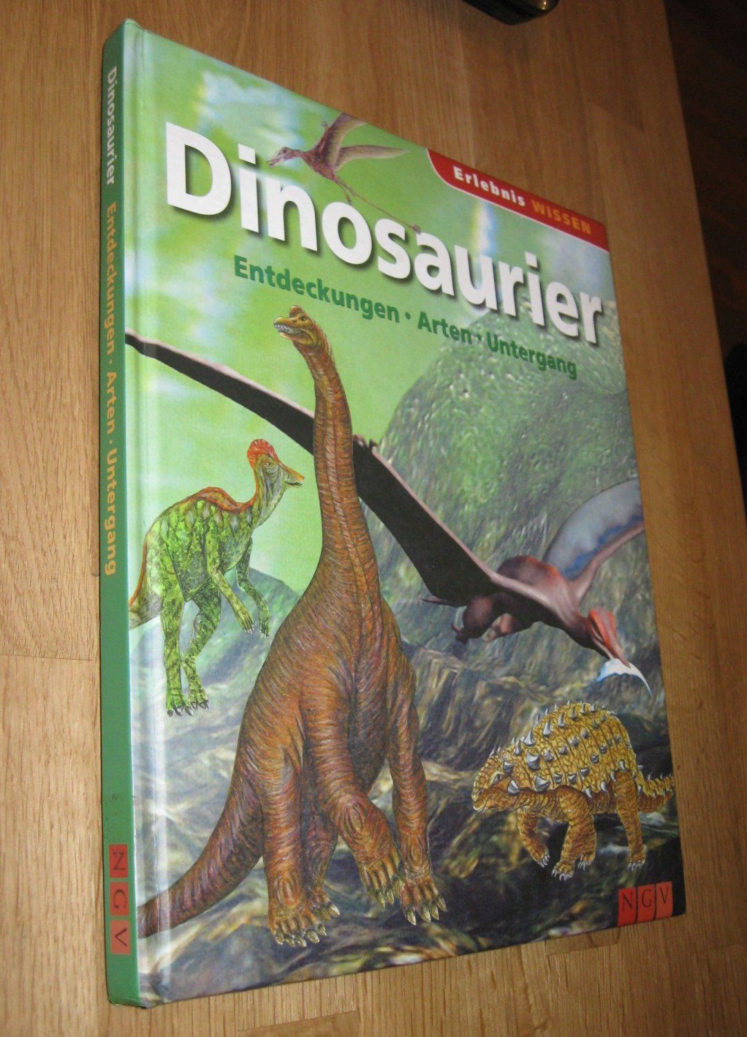 Dinosaurier ; Entdeckungen - Arten - Untergang ,  1. Auflage - Diverse