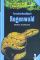Forscherhandbuch Regenwald (Das magische Baumhaus) Regenwald 1. Aufl. - Will Osborne, Mary Pope Osborne, Sal Murdocca