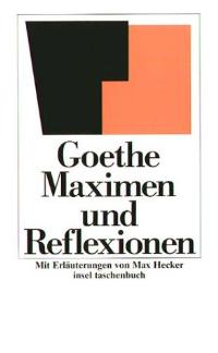 Maximen und Reflexionen (insel taschenbuch) - Wolfgang Goethe, Johann