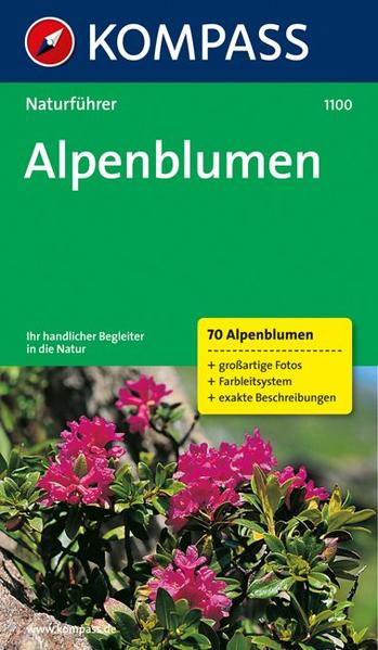 Alpenblumen: Sehen und verstehen (KOMPASS-Naturführer, Band 1100) - Jaitner, Christine
