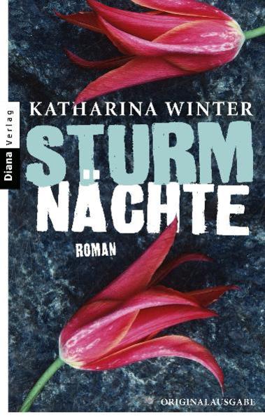 Sturmnächte: Roman - Winter, Katharina