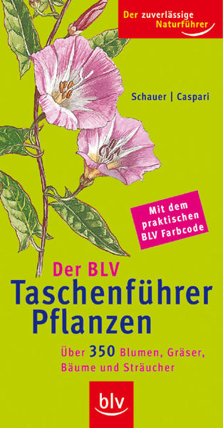 Der BLV Taschenführer Pflanzen: Über 350 Blumen, Gräser, Bäume und Sträucher - Schauer, Thomas und Claus Caspari