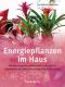 Energiepflanzen im Haus: Welche uns gut tun, welche nicht zu uns passen - Ungewöhnliche Zimmerpflanzenporträts mit Pflegetips - Eva Katharina Hoffmann