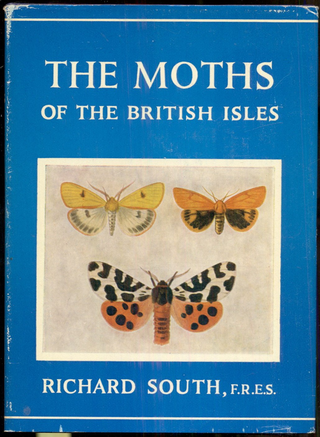 The Moths of the British Isles: Edited and Revised by H. M. Edelsten..., D. S. Fletcher and R. J. Collins. Second Series. Comprising the Families Lasiocampidae, Arctiidae, Geometridae, Cossidae, Limacodidae, Zygaenidae, Sesiidae, and Hepialidae. With coloured figures and drawings of early stages - South, Richard