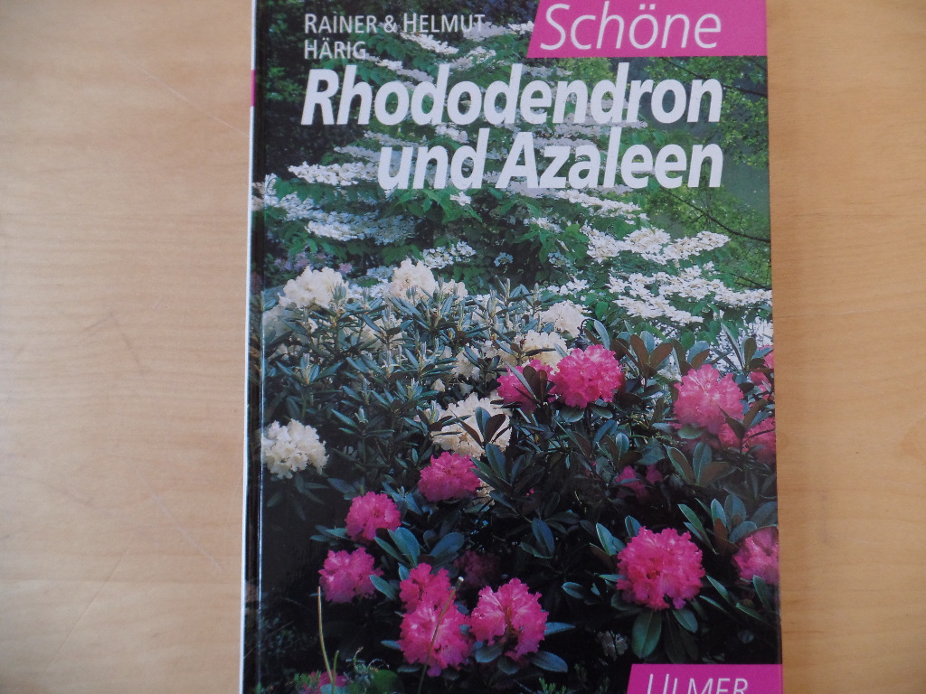 Hrig, Helmut und Rainer Hrig:  Schne Rhododendron und Azaleen. 
