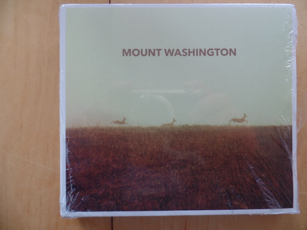 Mount Washington:  Mount Washington 