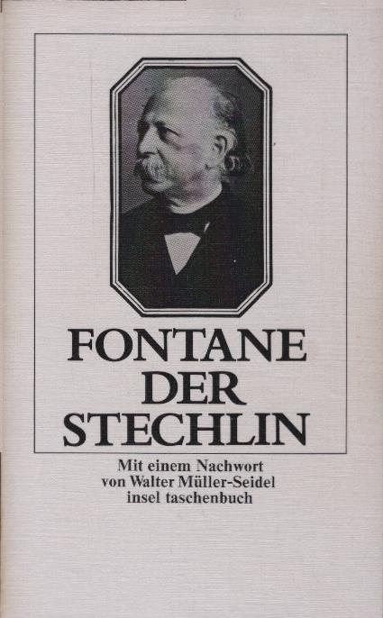 Der Stechlin. Mit e. Nachw. von Walter Müller-Seidel / Insel-Taschenbuch ; 152 - Fontane, Theodor