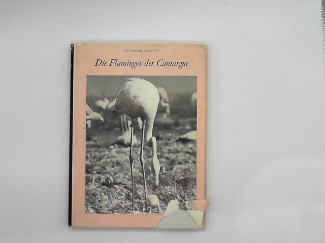 Gallet, Etienne: Die Flamingos der Camargue