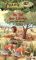 Das magische Baumhaus 11 - Im Tal der Löwen: Kinderbuch über Tiere in der Savanne für Mädchen und Jungen ab 8 Jahre  Auflage: 12 - Mary Pope Osborne