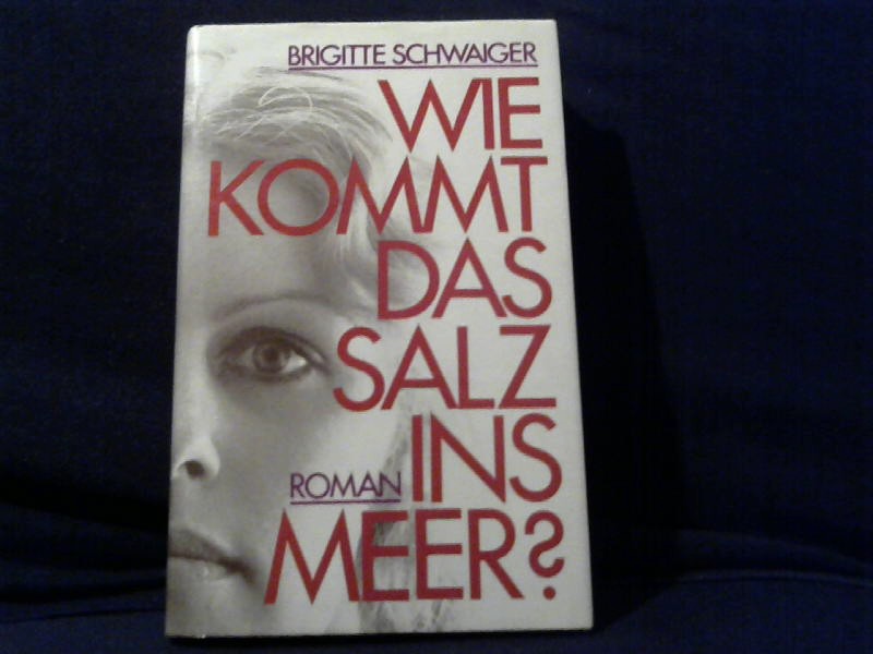 Schwaiger, Brigitte: Wie kommt das Salz ins Meer?
