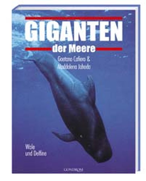 Cafiero, Gaetano und Maddalena Jahoda: Giganten der Meere Wale und Delfine 1., Aufl.