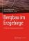 Bergbau im Erzgebirge Technische Denkmale und Geschichte 1. Aufl. - Otfried Wagenbreth, Eberhard Wächtler