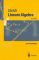 Lineare Algebra (Springer-Lehrbuch) - Klaus Jänich