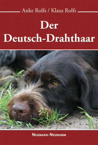 Der Deutsch-Drahthaar: Pflege, Ausbildung, Zucht - Rolfs, Klaus