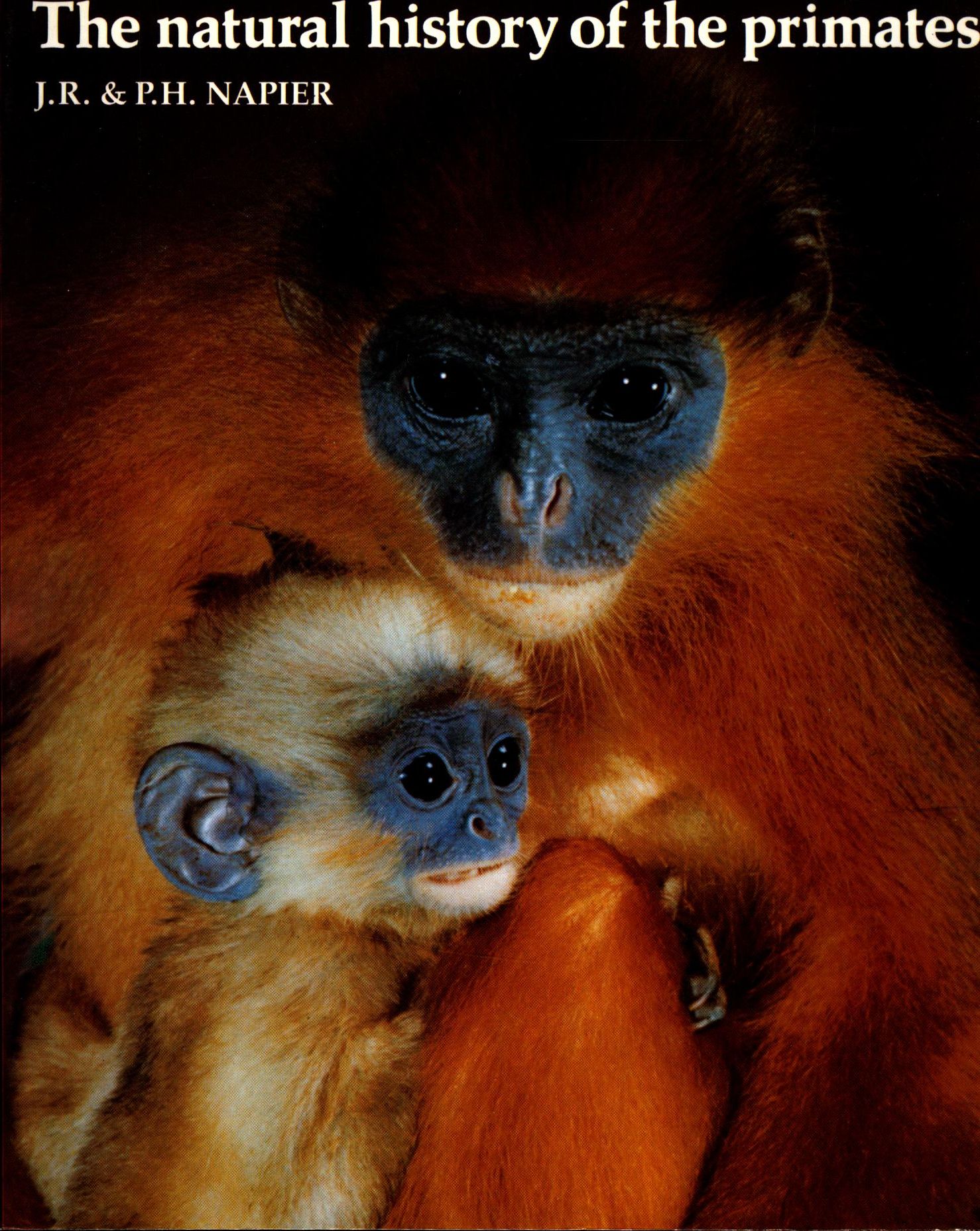 The natural history of the primates - Napier, P.H. und J.R. Napier