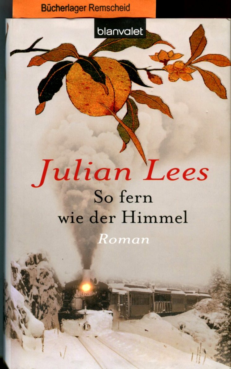 So fern wie der Himmel: Roman (Hardcover Fiction) - Lees, Julian