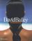 David Bailey: Chasing Rainbows - Robin Muir, David Bailey