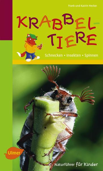 Naturführer für Kinder: Krabbeltiere Schnecken, Insekten, Spinnen - Hecker, Frank und Katrin