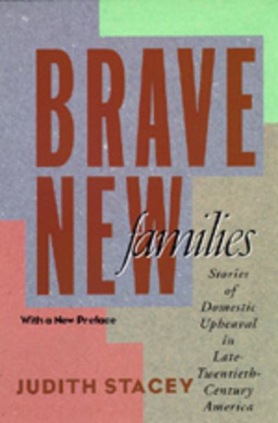 Brave New Families: Stories of Domestic Upheaval in Late-Twentieth-Century America - Stacey, Judith