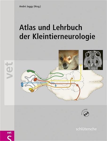 Atlas und Lehrbuch der Kleintierneurologie Mit Filmsequenzen auf CD-ROM - Jaggy, Andre
